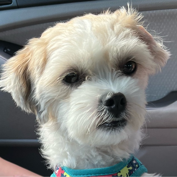 Meet your Posher, Kayla - Picture 10 of 12